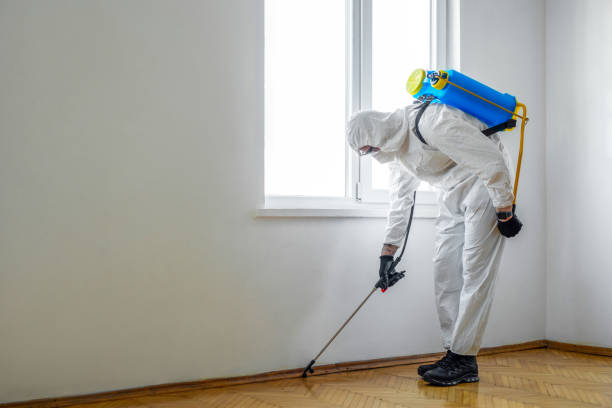 Best Emergency Pest Control  in Lebanon, MO
