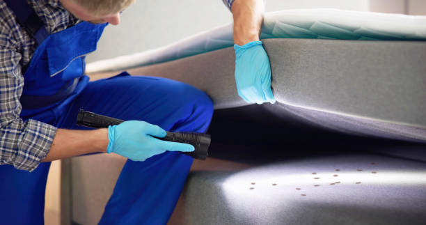 Trusted Lebanon, MO Pest Control Experts
